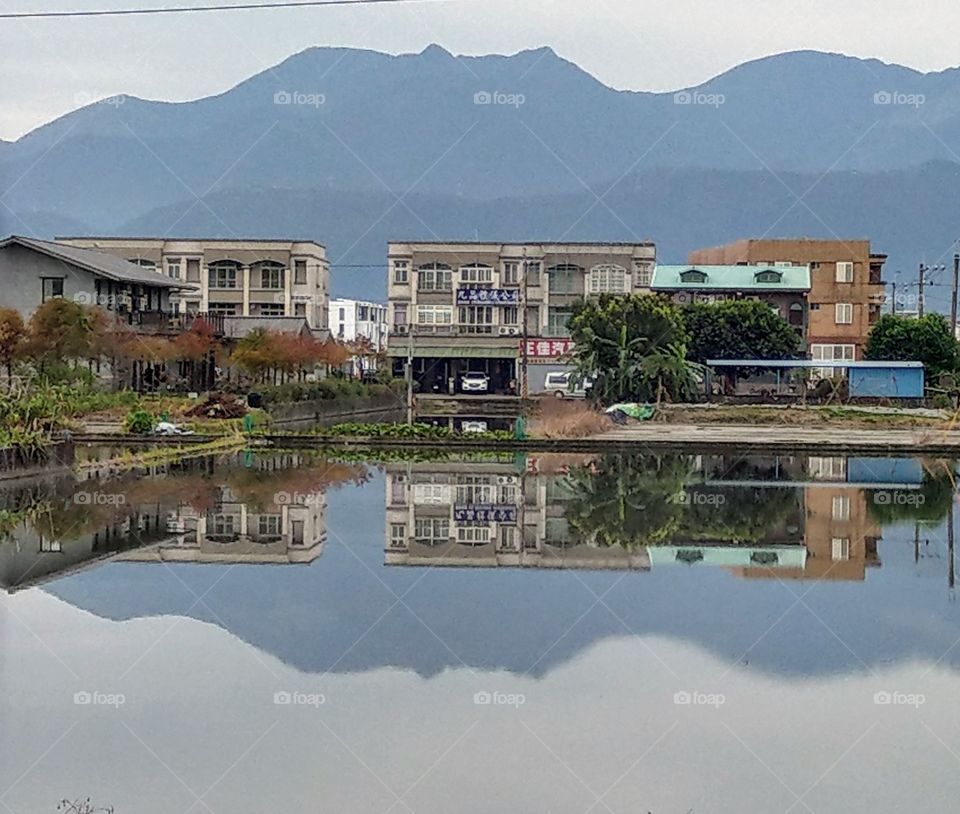 quiet morning of spring countryside,   a beautiful reflection of a large ricefieldwater in Taiwan's Yilan