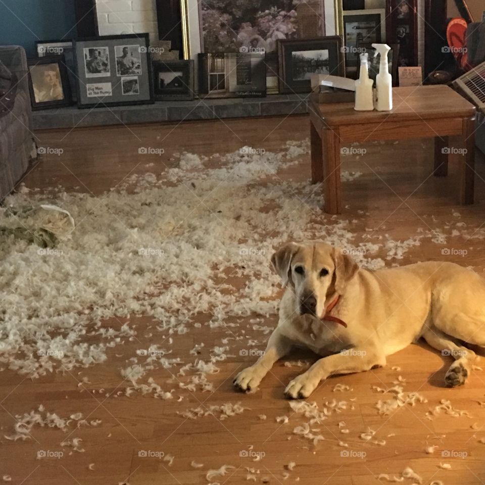 If you help me clean this up, she’ll never know!  