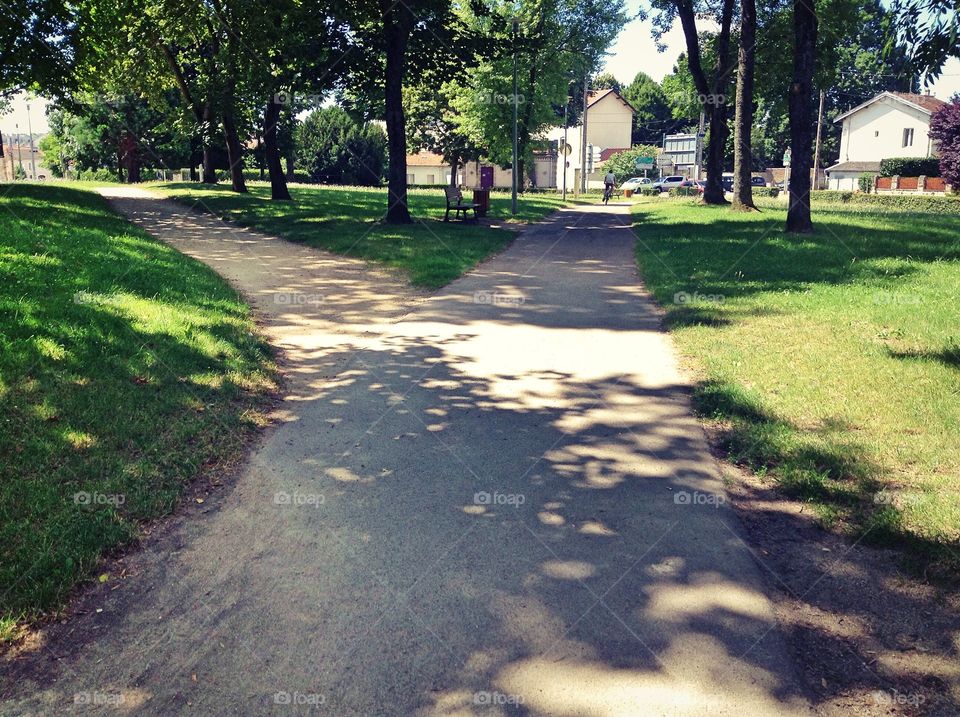 Path through the park.