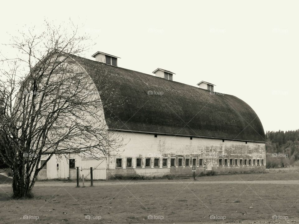 a big barn in sepia