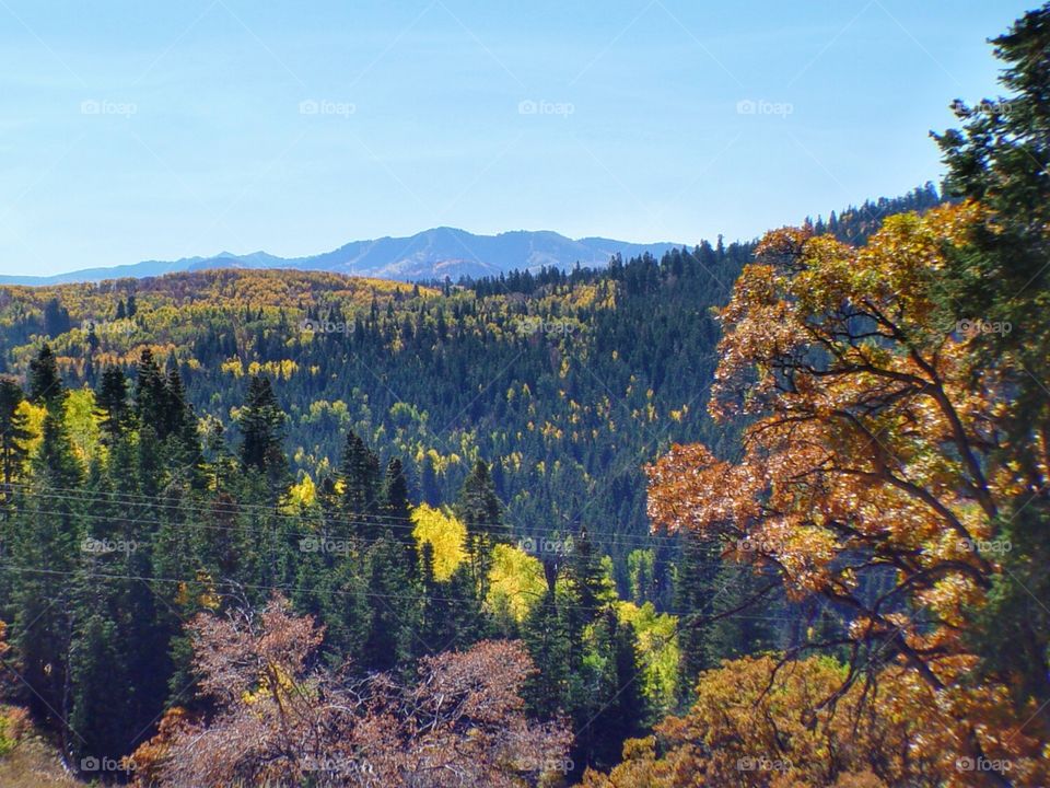 Mountains in fall