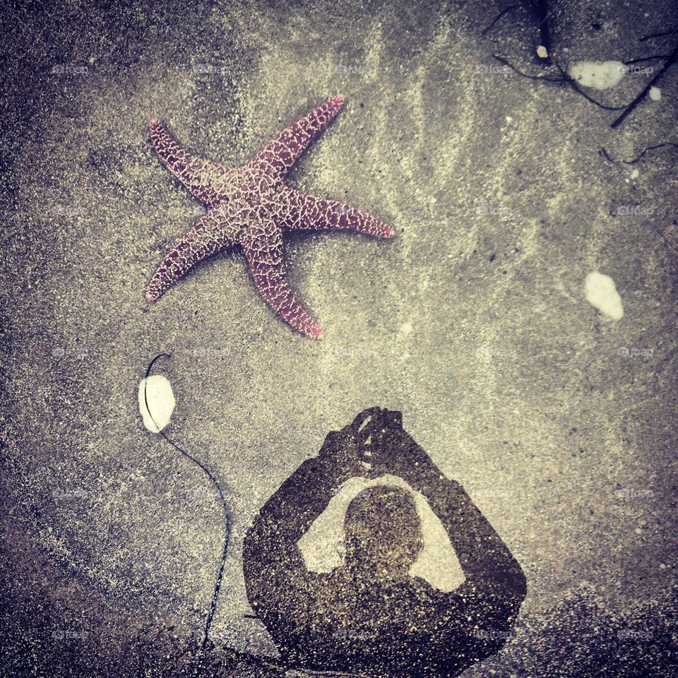 Starfish