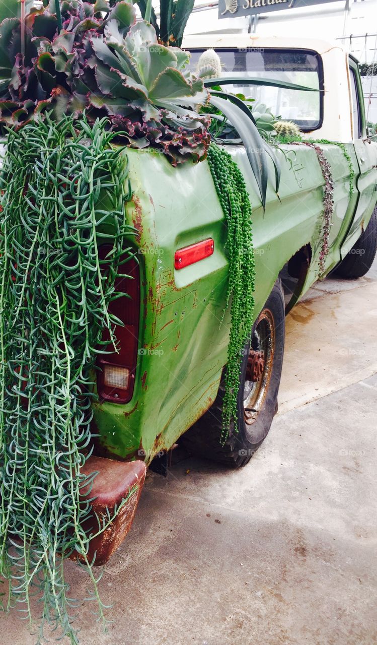 Green Color Story - back  view of right rear panel of a pickup truck being used as a planter