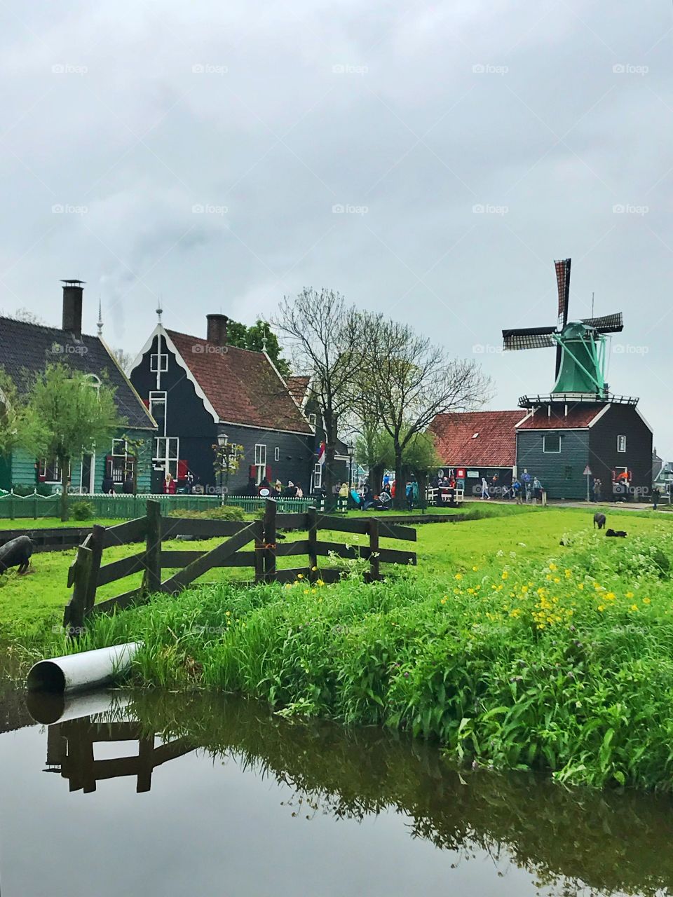 Historic windmills and wooden houses in the village Zaanse Schans, Holland 