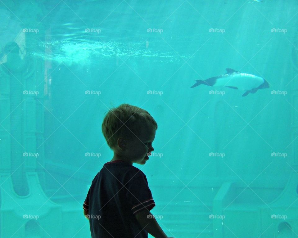 Child with Orca