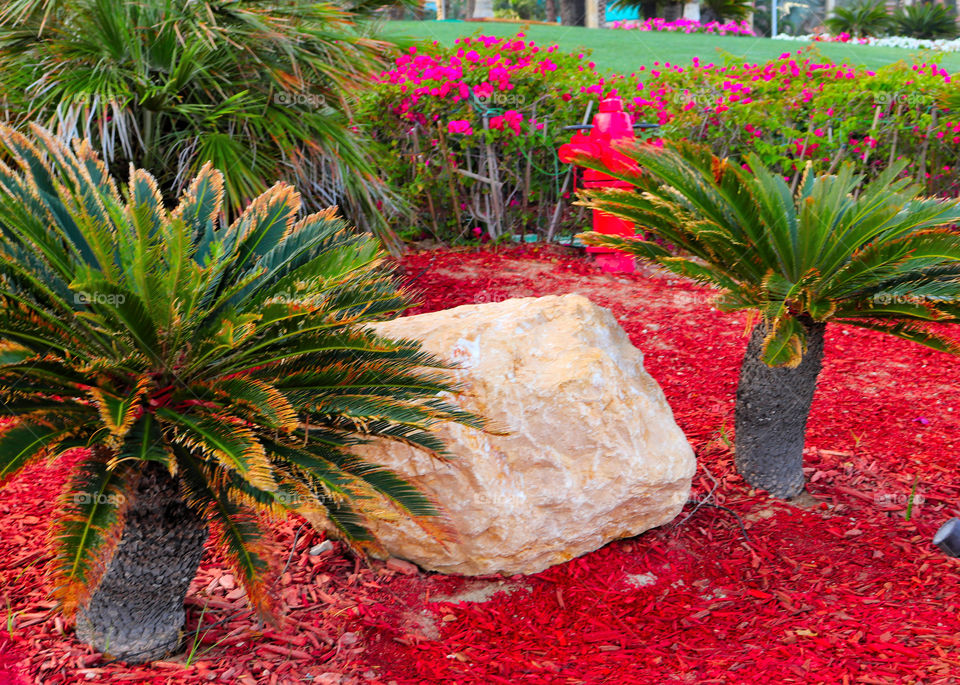 stone  with combination of plant