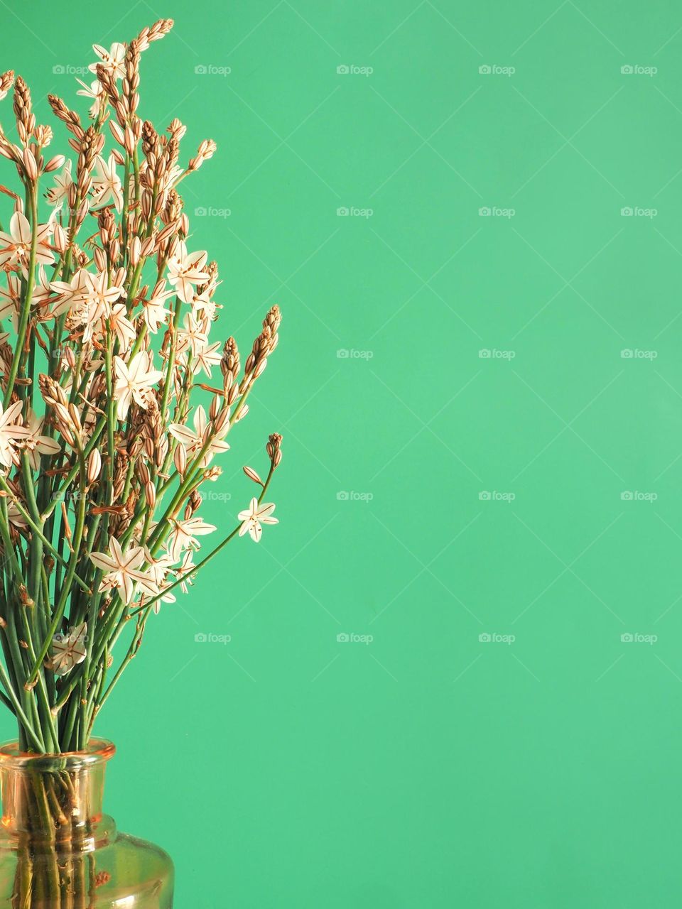 Flowers and green background