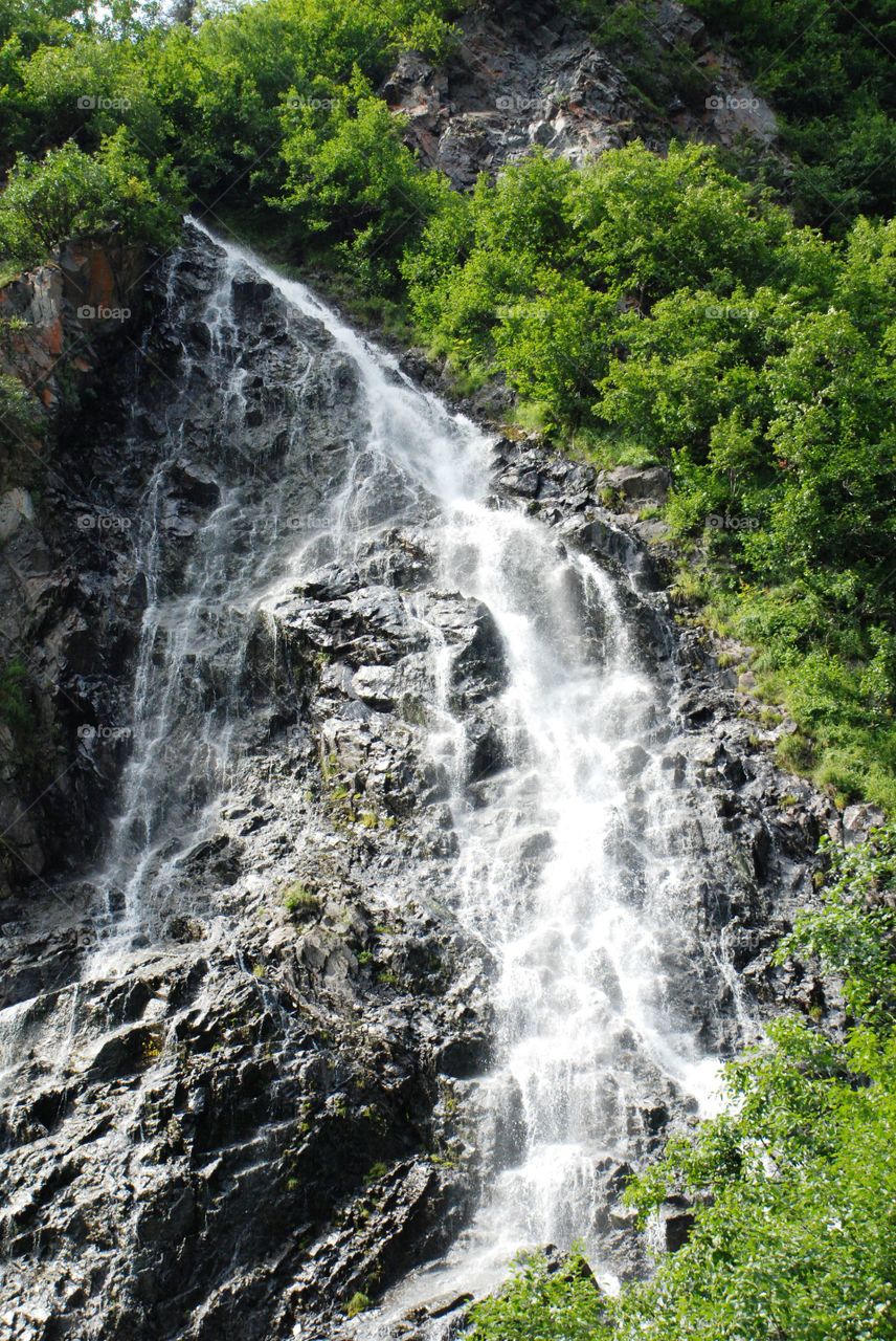 Horse tail falls