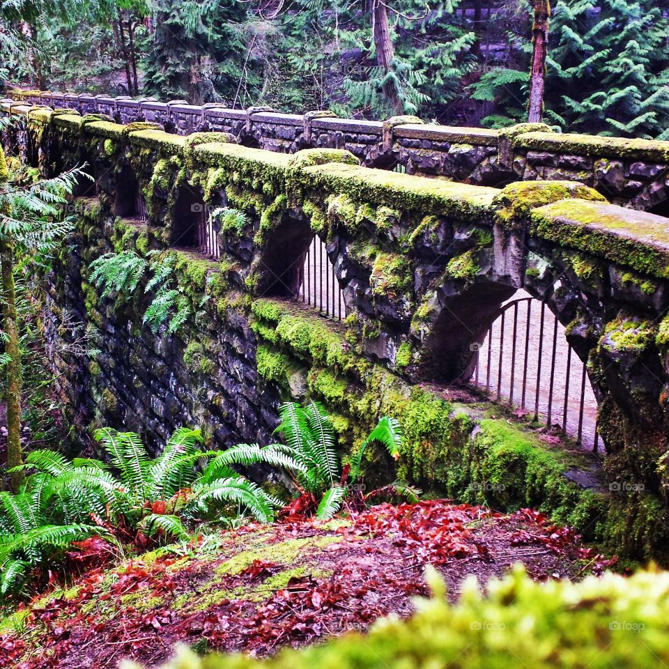 the mossy bridge. this is the old bridge at Whatcom Falls Park