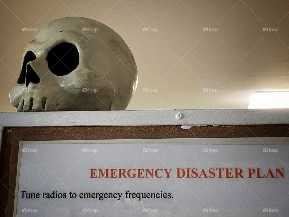 Halloween decoration in a government office