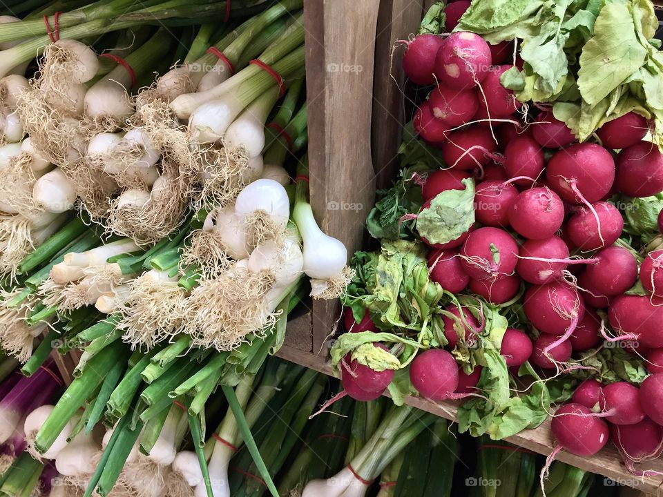 Bunches of fresh organic cultured white spring onions and red radishes in a wooden box for sale at farmers market.