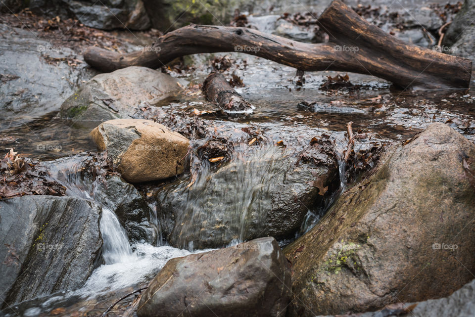 Stream in the woods of Central Park in New York City 