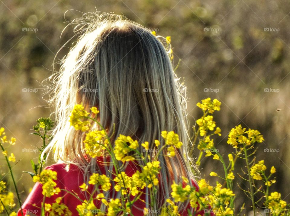 Blonde Hair In The Golden Hour. Sunlight Reflecting Off Blonde Hair Just Before Sunset
