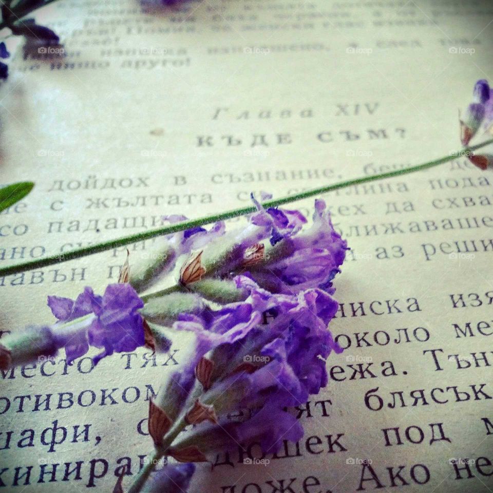 Books & Lavender