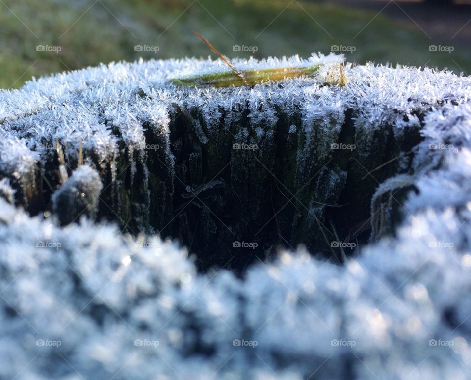 First frost of winter