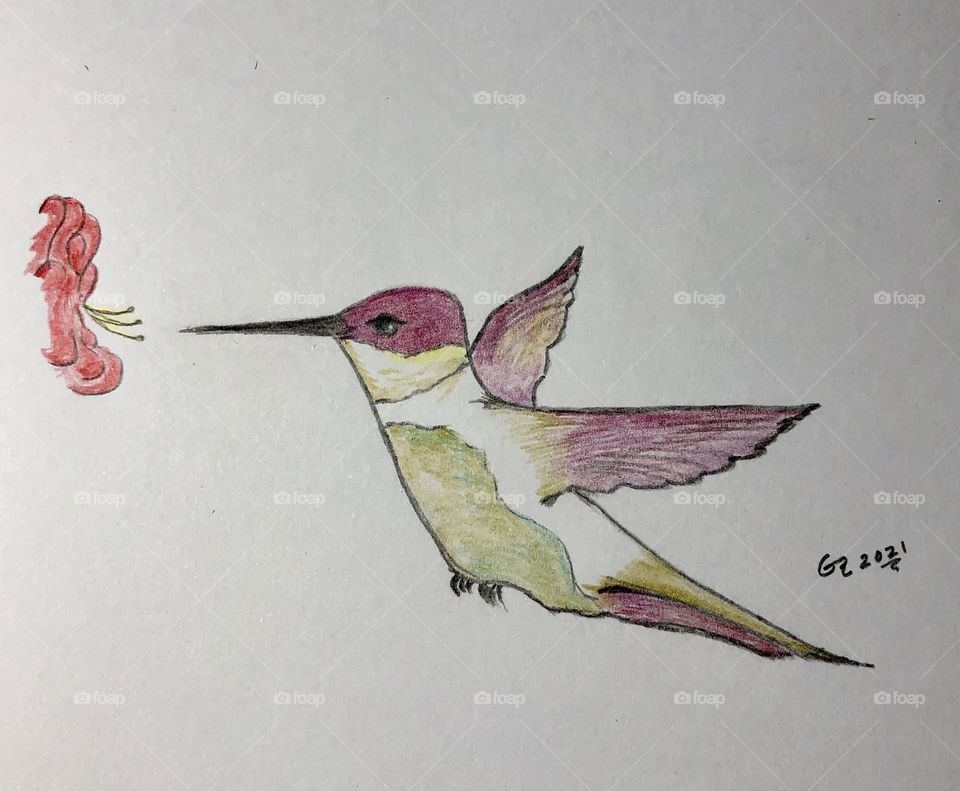 Hummingbird