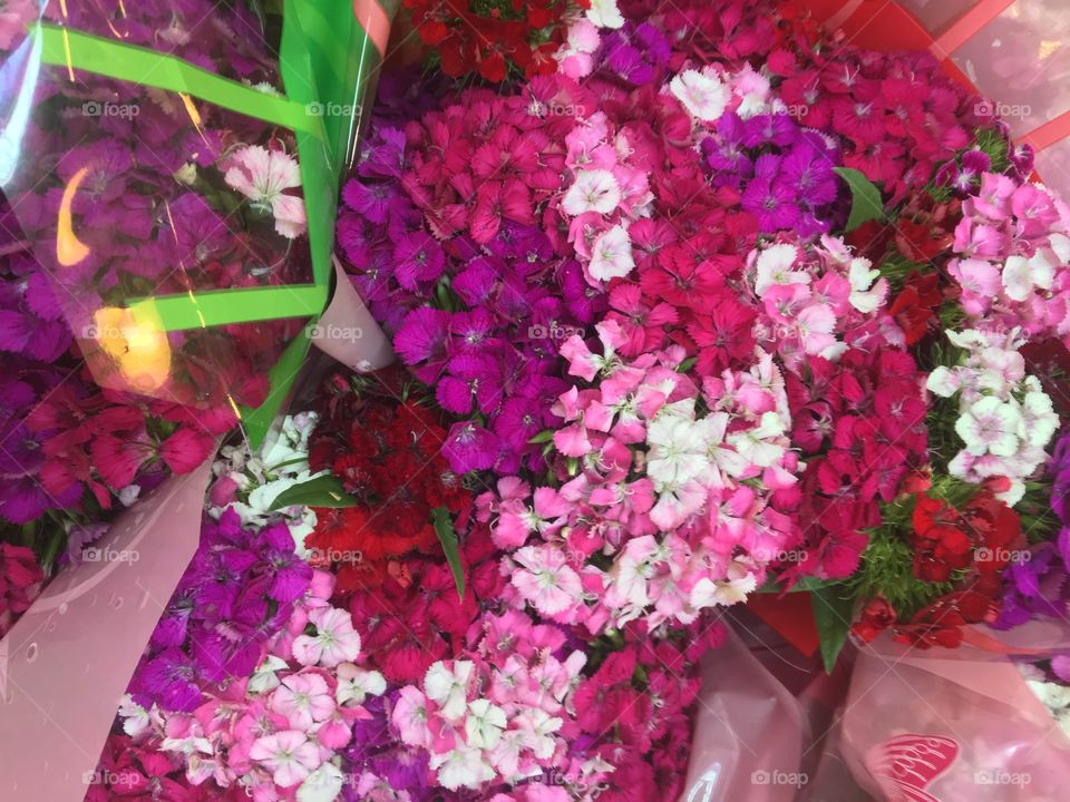 Eastern Market flowers 