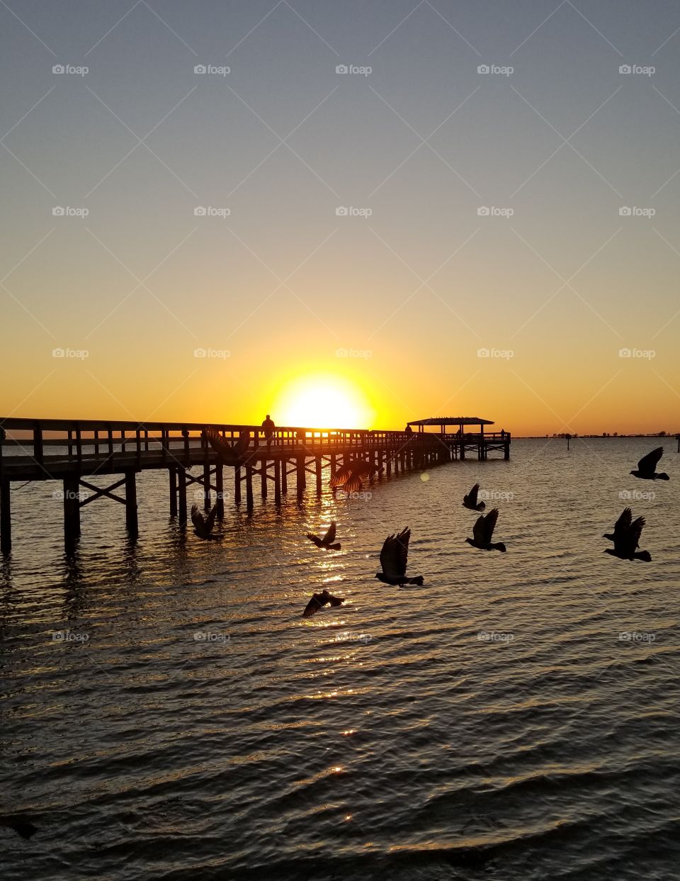 A flock of birds flying over the pier at sunrise