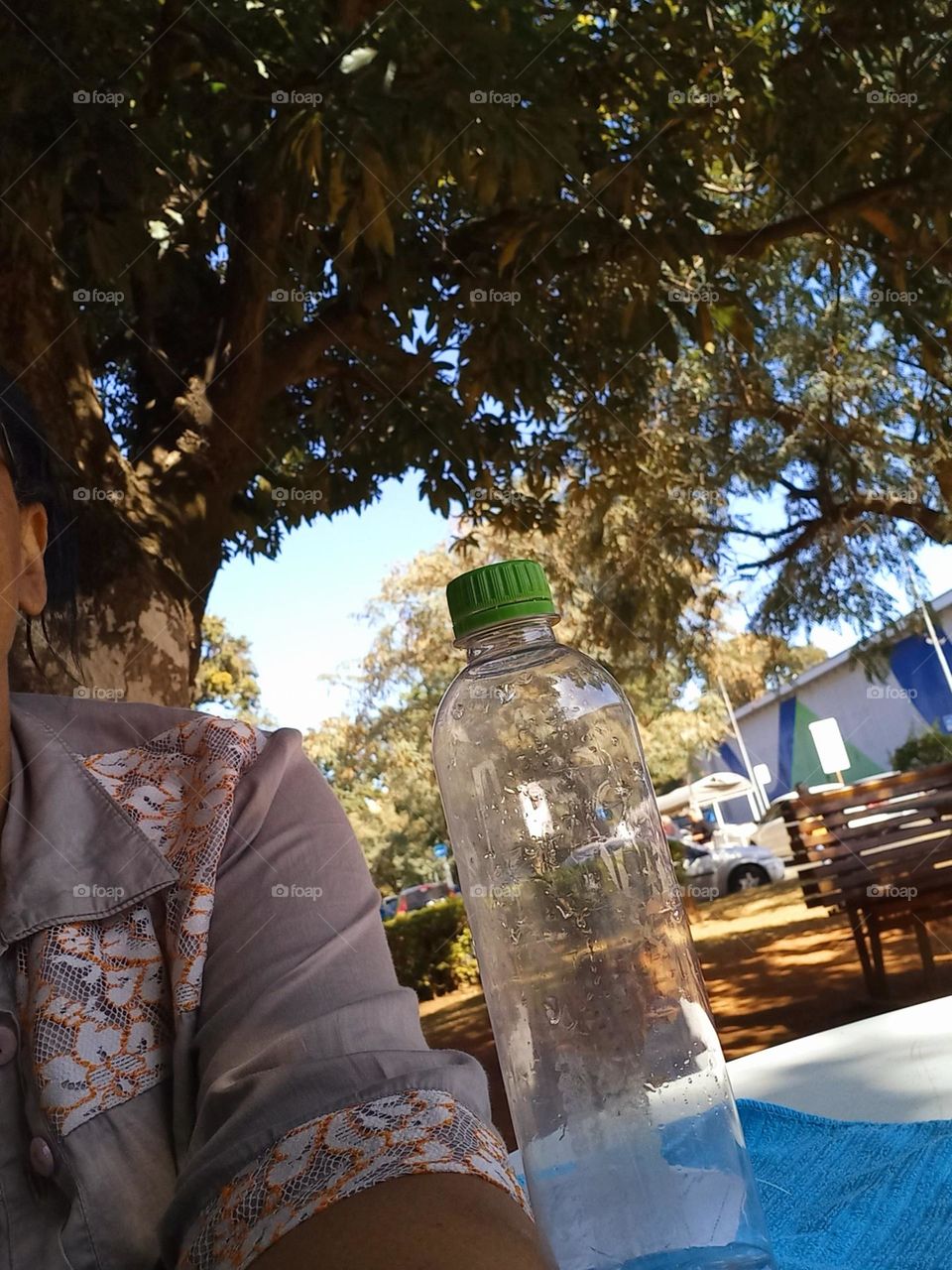 Piquenique  no parque.   Além  de ser bastante agradável  estar em contato com a natureza,  fortalece o sistema de defesa do  organismo e, contribui para a noss saúde física  e mental