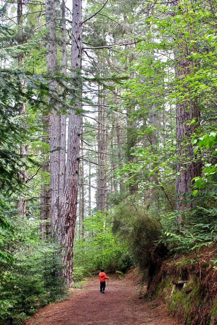 Hiking trail