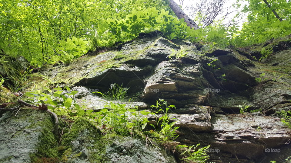 rock cliffs and vegetation at interstate state park