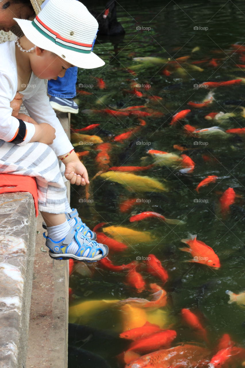 Kid feeding koi fish in Greenlake Park in Kunming, China 