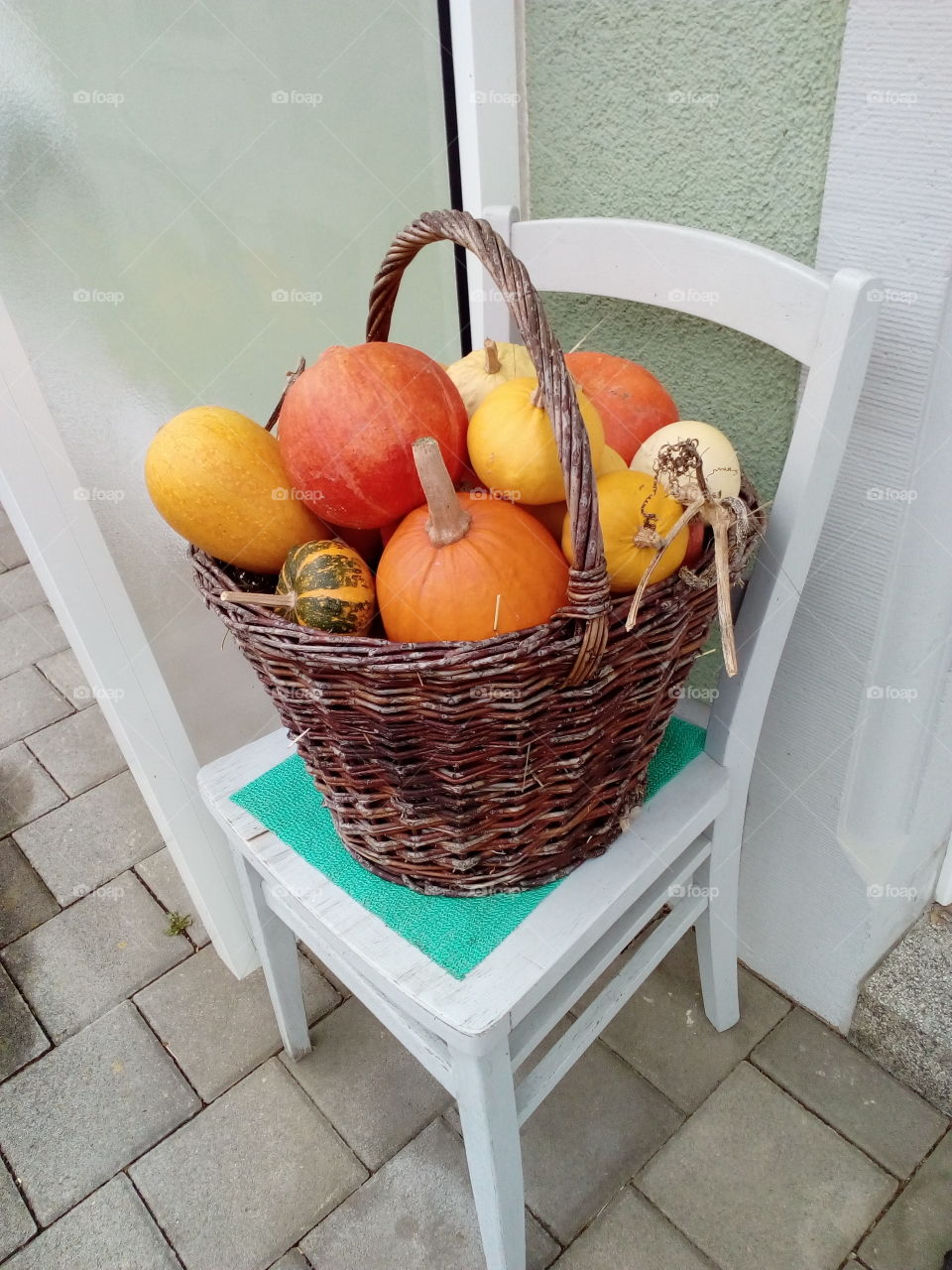 pumpkin in Autumn and beautiful color