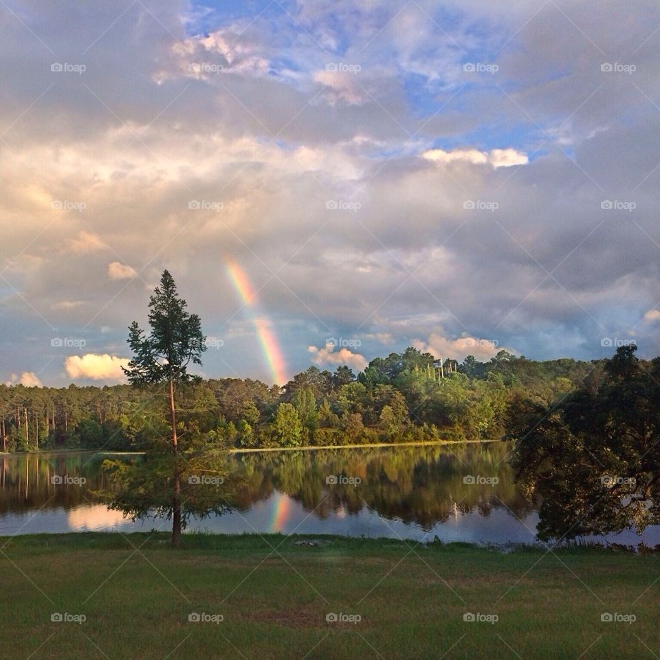 Under the rainbow