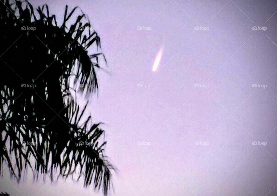 Sunset Frond w Comtrail