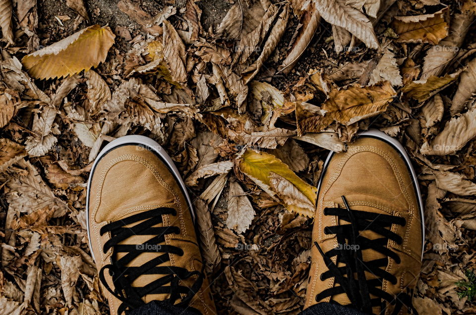 Shoes And Leaves