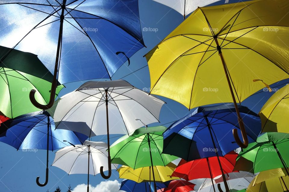 Umbrellas 