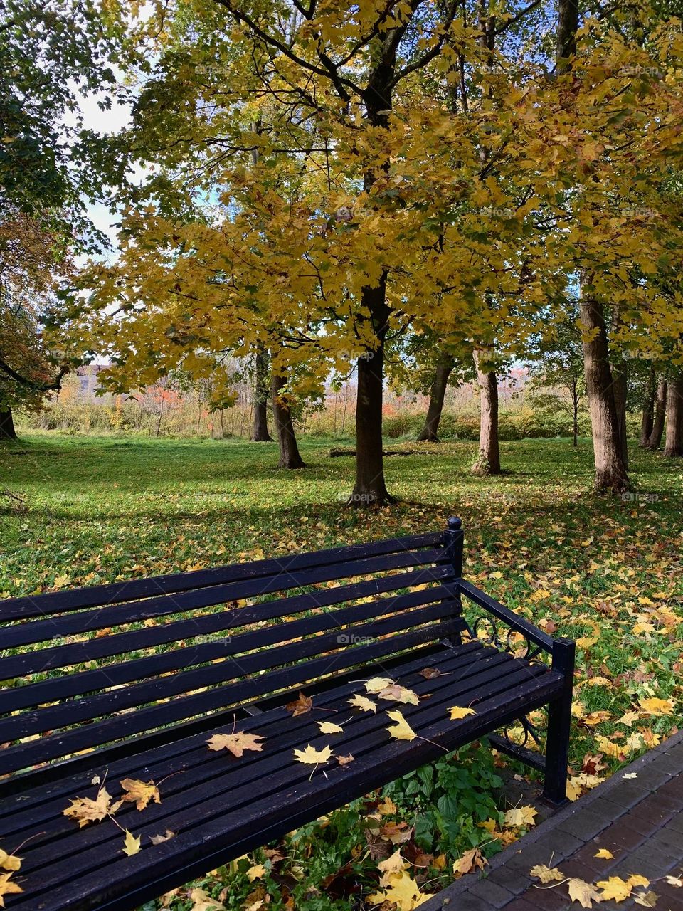 the beauty of autumn colors😍