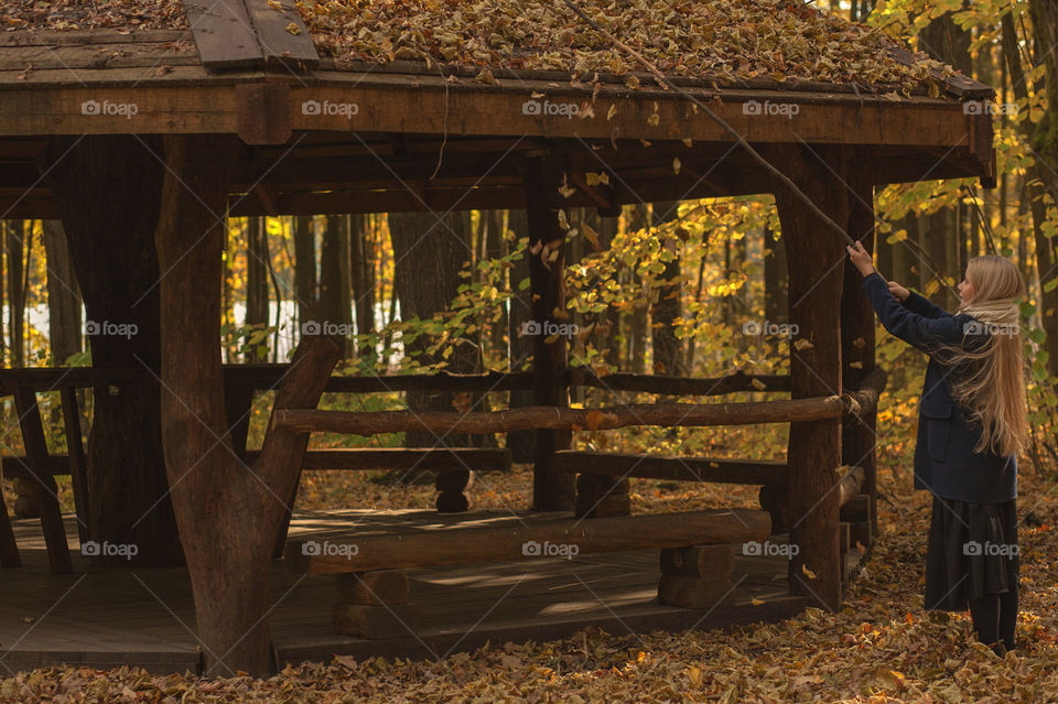 autumn, a gazebo in the forest, fallen leaves ...