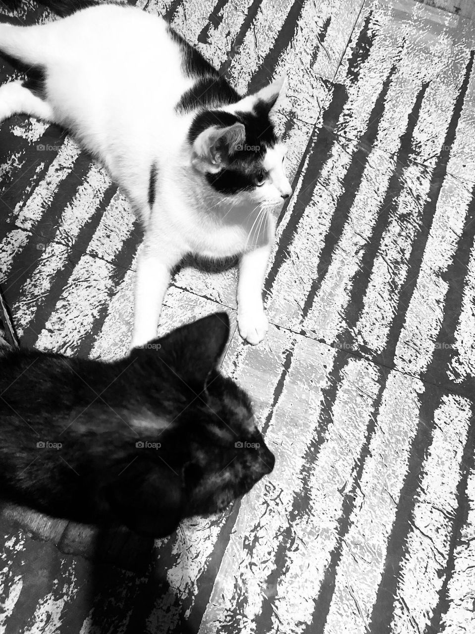 We see what you can’t see 