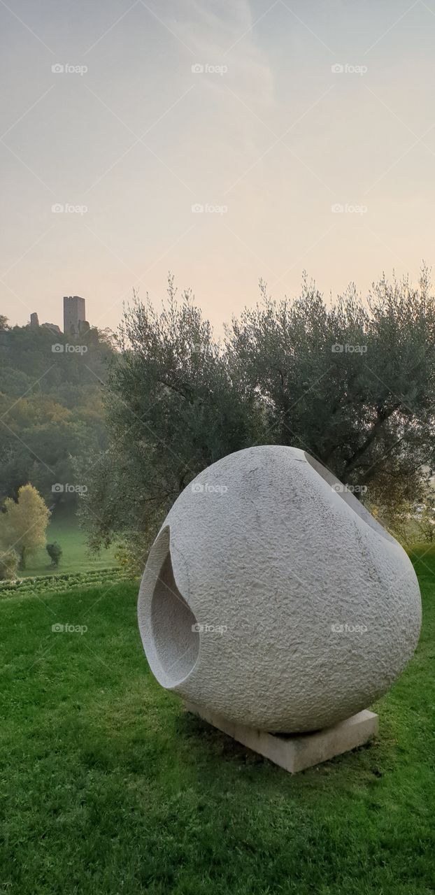 beautiful wineyard in istria