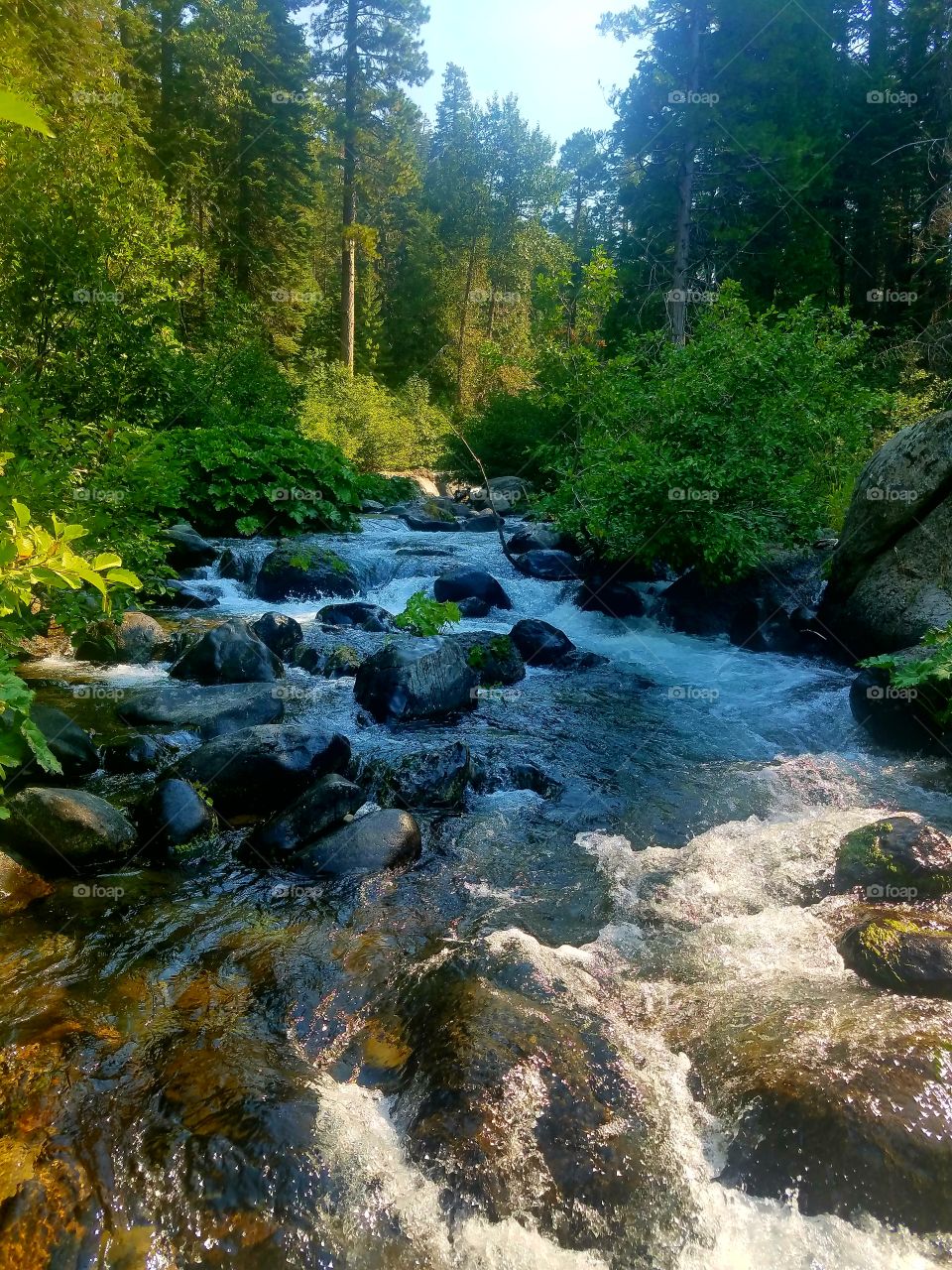 West branch of the feather river