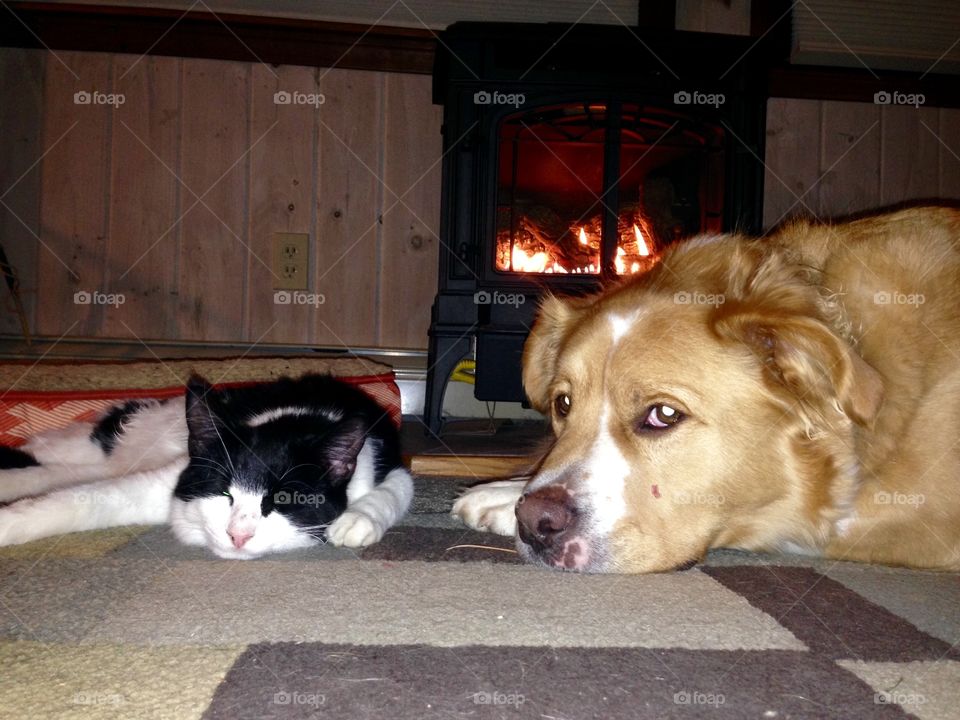 Friends by the Fire