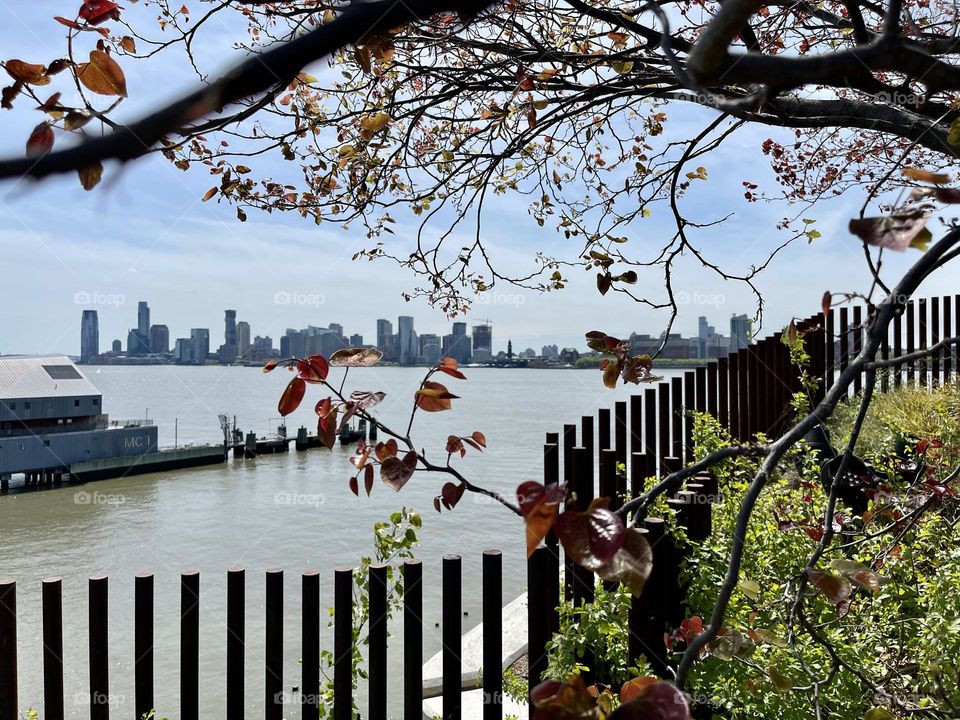Water dividing a garden and an urban jungle
