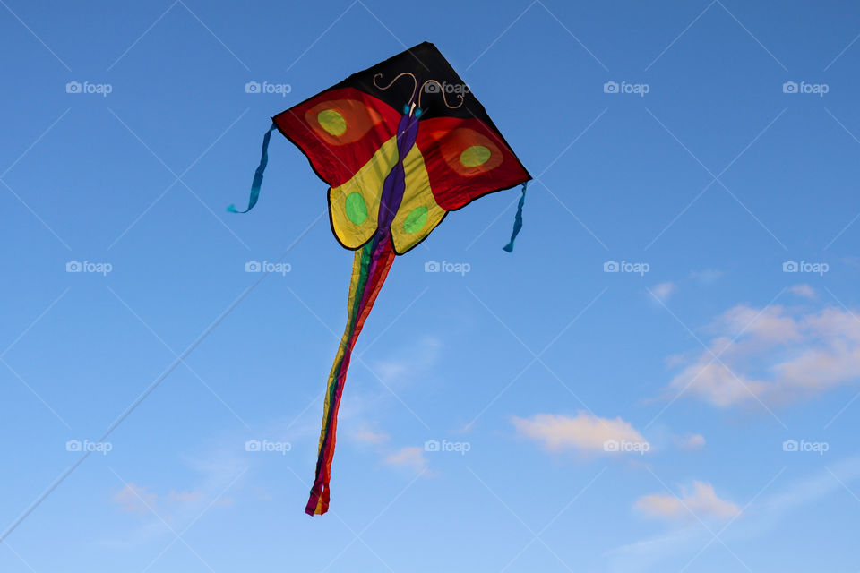 color kite