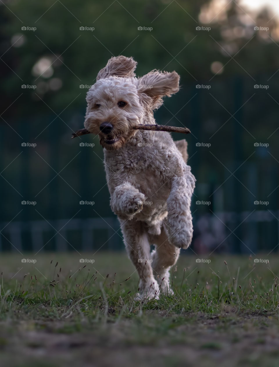 Running with stick