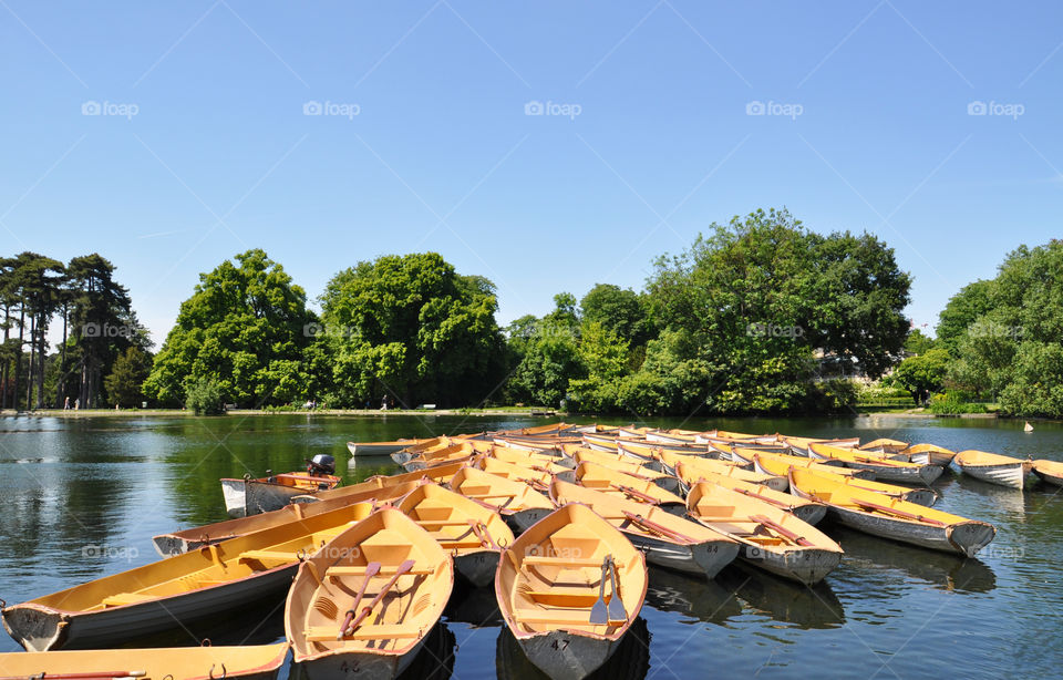 Boats and the forest view