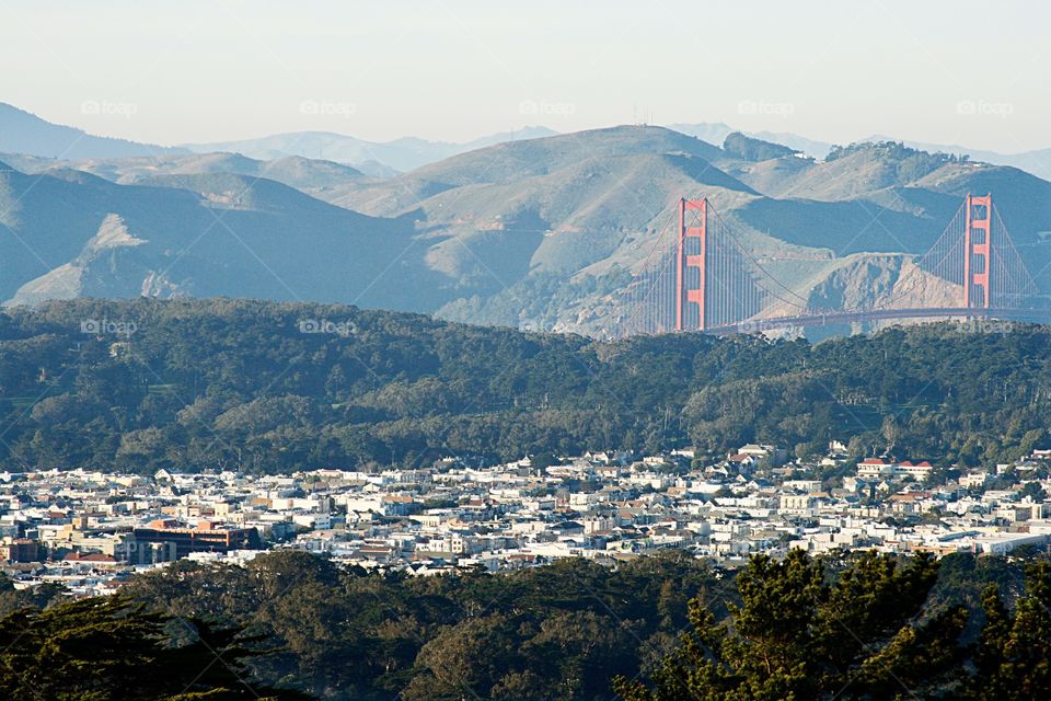 Cityscape with Bridge 