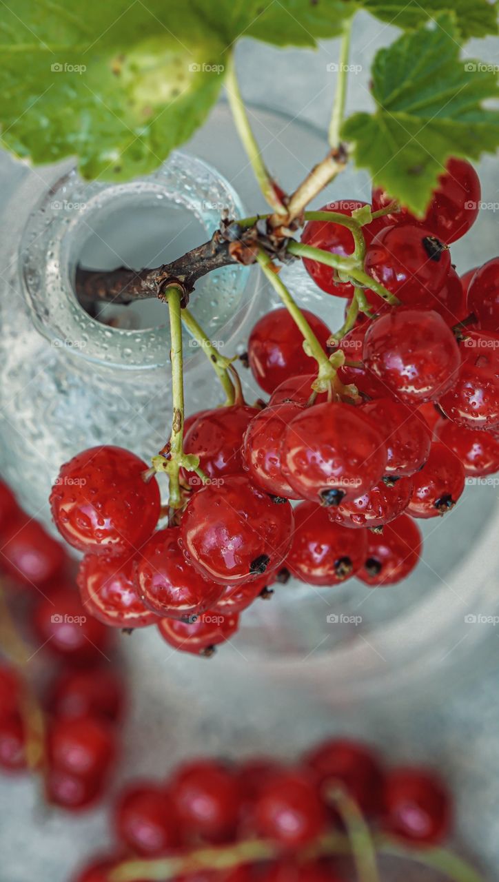 red currants in a glass bottle