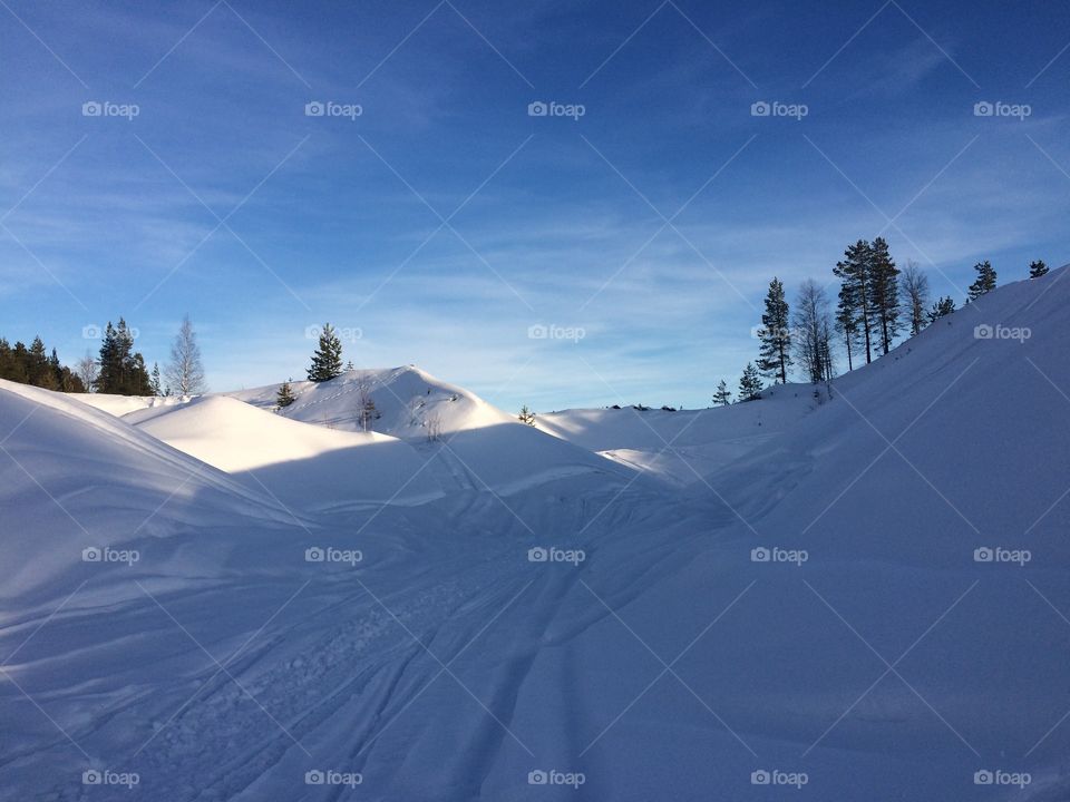 Snowy landscape