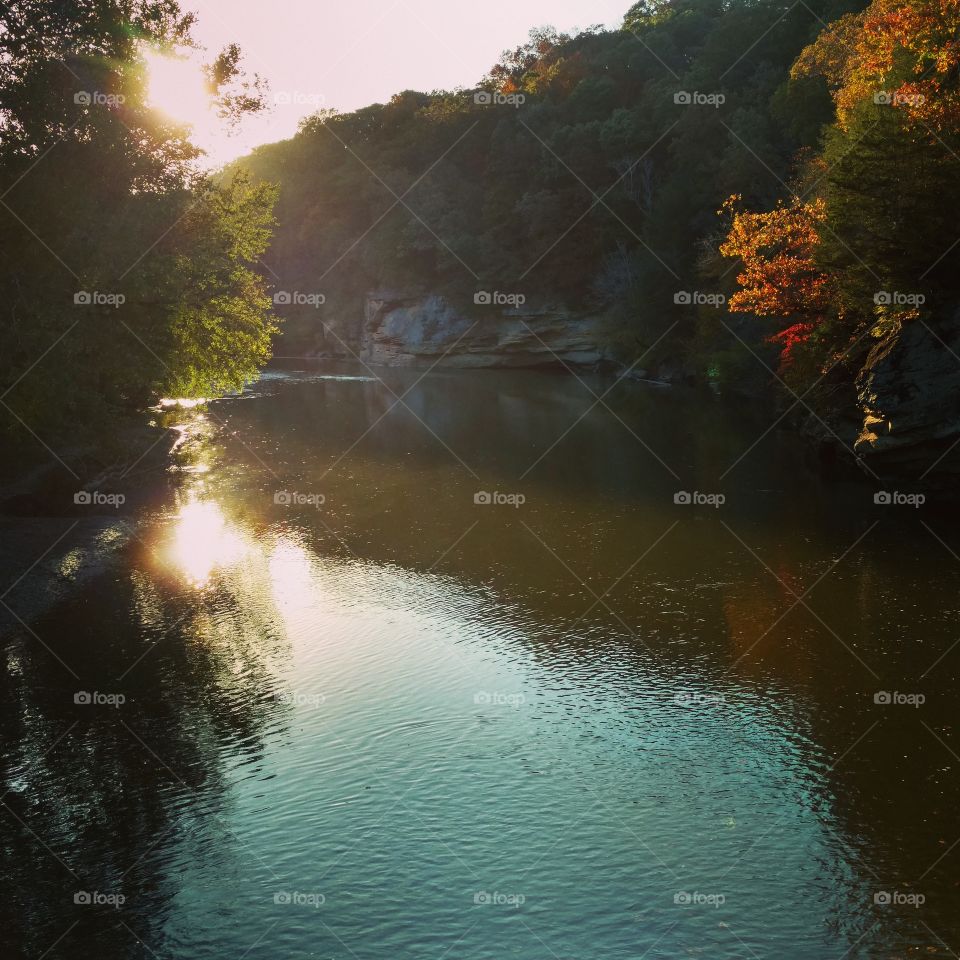 Turkey Run State Park