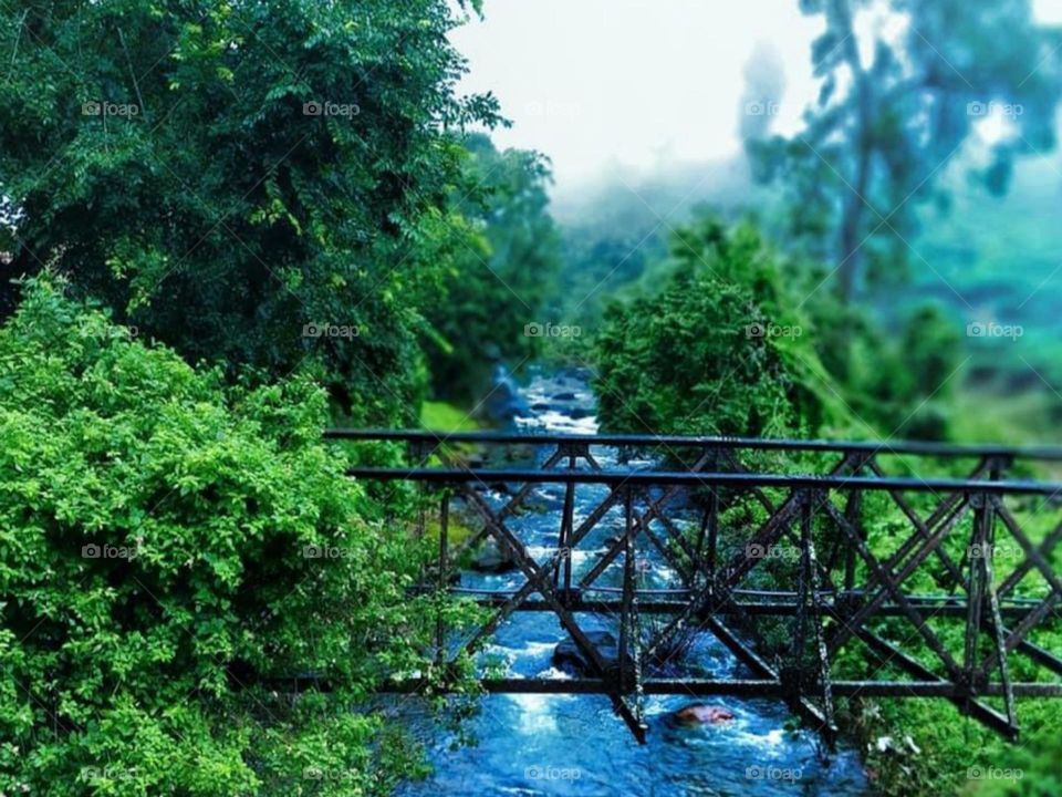 The shadow of a country road that has forgotten the novelty of the past and stands as a wonder of the past