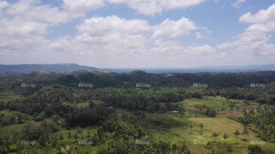over view  of chocolate  hills  in bohol