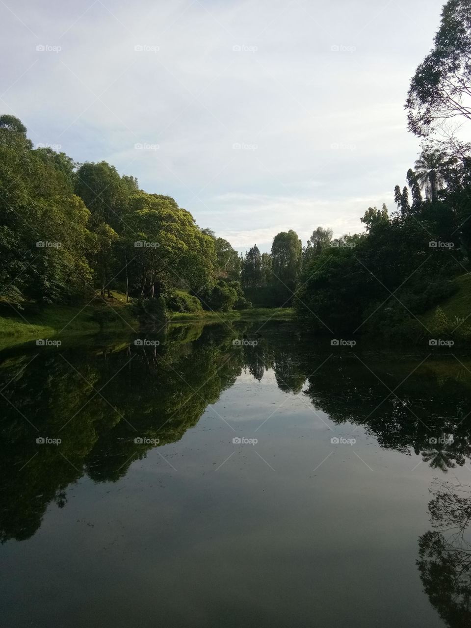 Urban Nature : Water