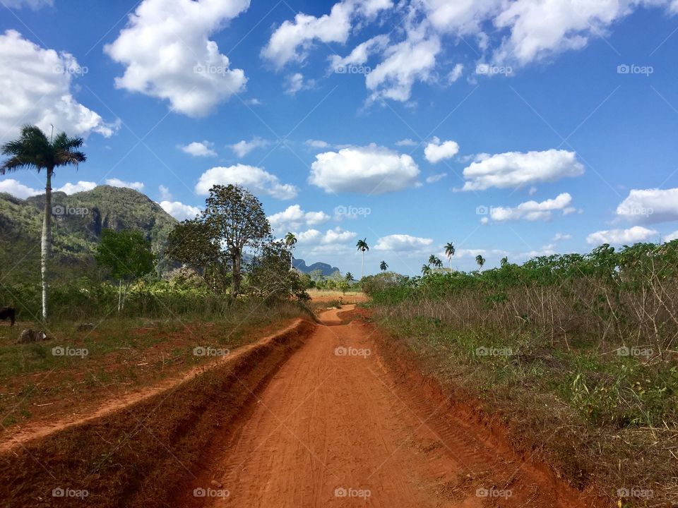 Red road beside field