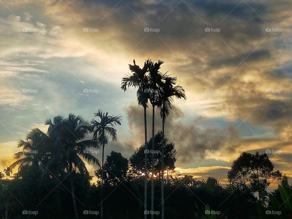 Photos of light and shadow in the evening and natural atmosphere.